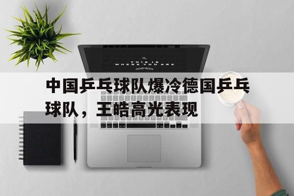 体育中国-中国乒乓球队爆冷德国乒乓球队,王皓高光表现的简单介绍