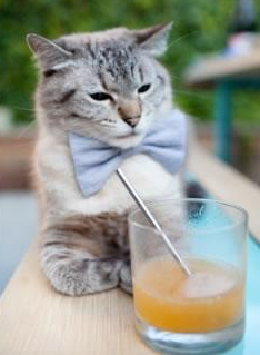 开云官网-1.8米后卫击碎13年魔咒，贝恩，不是天生的关键先生