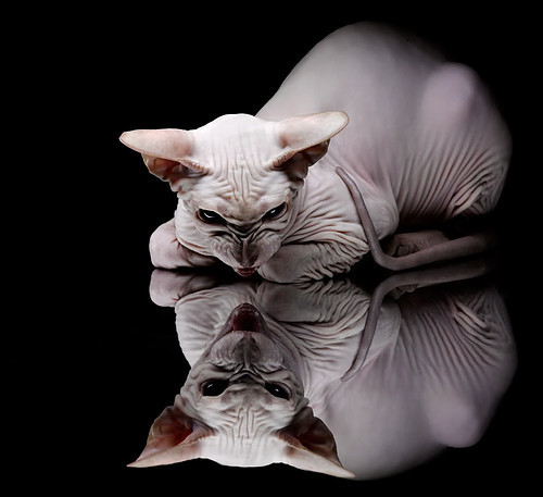 开云体育app-征服新大陆的日本武士，久保建英攻防两端的史诗统治之夜