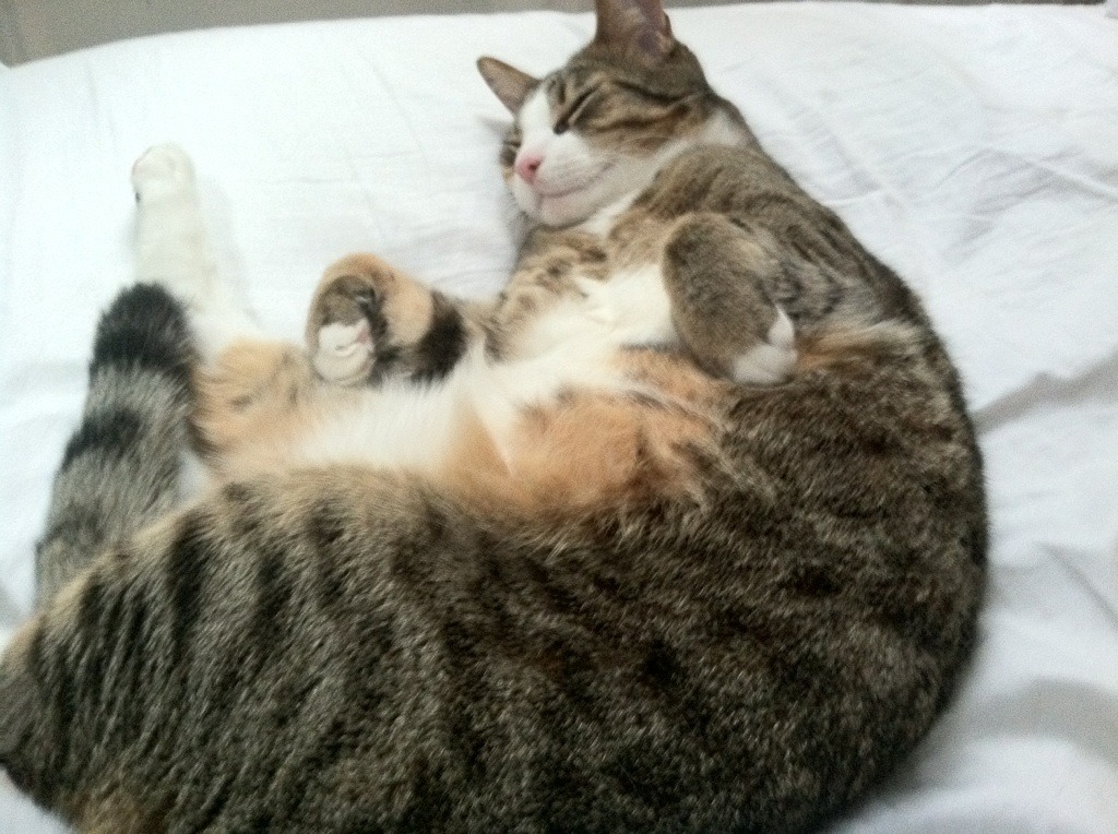 开云体育平台APP-双线战场，恰尔汗奥卢的终场绝杀与塔图姆的姆巴佩时刻