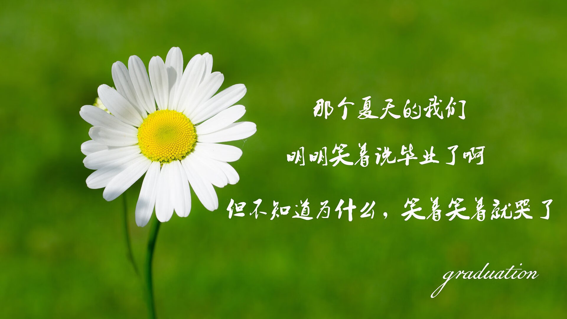 沙漠绿洲的致命反击，范戴克导演的绝杀之夜，越南改写A组生死局